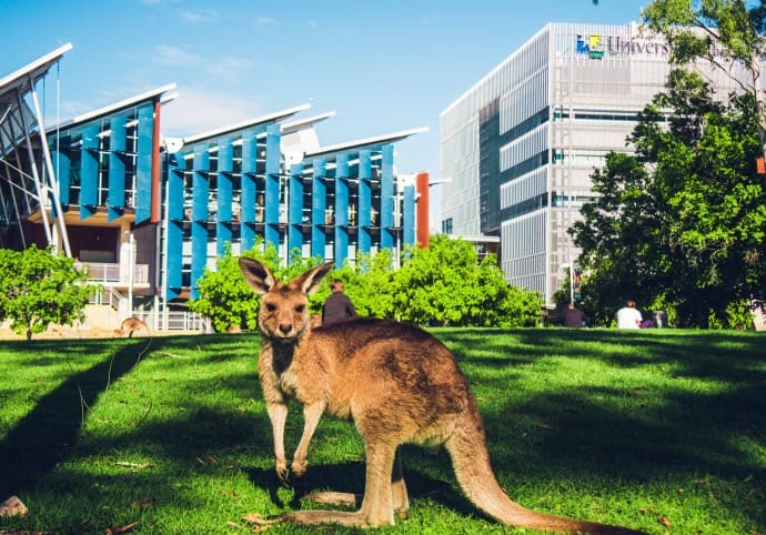 University Of The Sunshine Coast - Sunshine Coast
